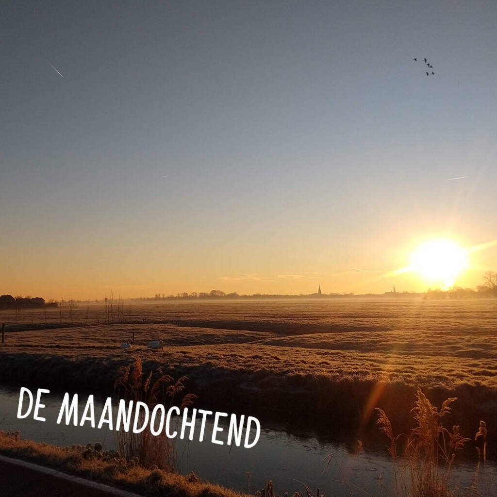 La vue du Café du Jour