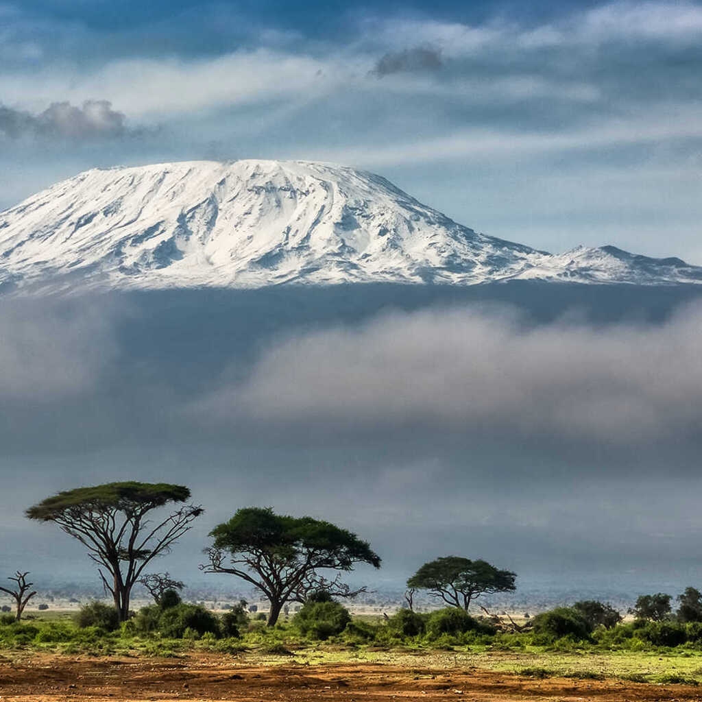 Café du Jour 100 % arabica Tanzanie