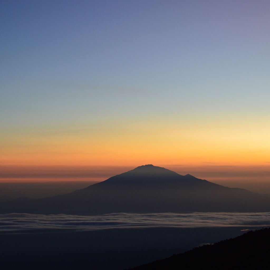 Café du Jour 100 % arabica Tanzanie