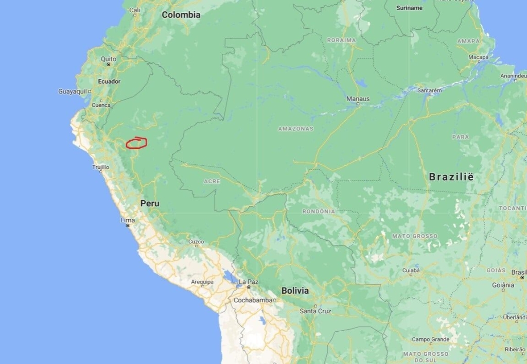 Millésime - Pérou Spéculoos - Chocolat au lait 55% (Bio)