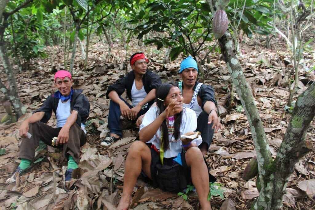 Millésime - Pérou Spéculoos - Chocolat au lait 55% (Bio)