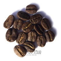 Grains de café pendant la phase de développement