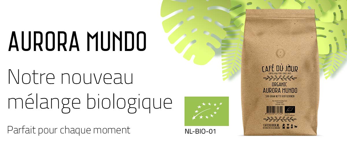 Aurora Mundo, notre ajout organique